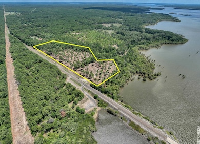 010 Farm To Market Road 83 unit Lot 10, Broaddus, TX 75929 - photo 6