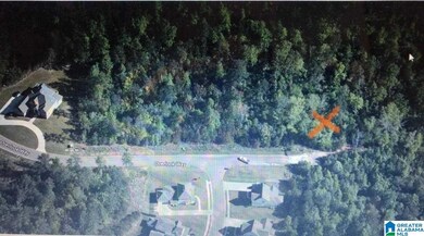 4077 Overlook Way, Trussville, AL 35173 - photo 2