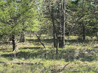 11 E Blue Creek Rd, Blocker, OK 74501 - photo 5