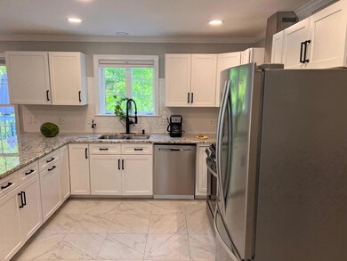 Kitchen sing