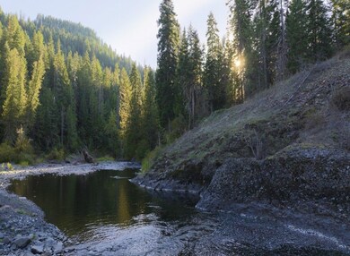 0 Lacey Meadow Rd, Weippe, ID 83553 - photo 3