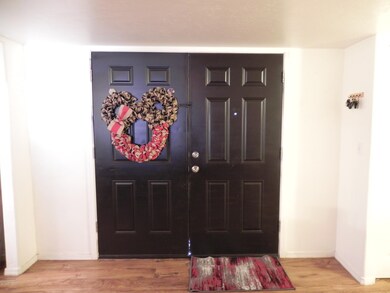 Double door entry