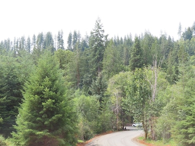 Mill Creek Ln, Longview, WA 98632 - photo 4