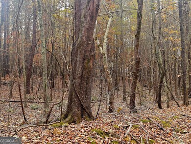 0 Windy Hill Rd unit 10646717, Franklin, GA 30217 - photo 5