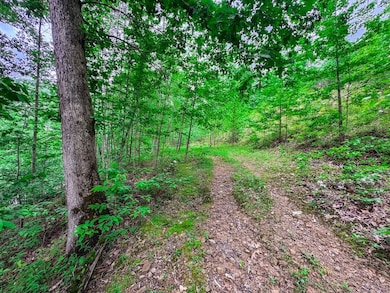 Elk River Rd unit Lot WP001, Procious, WV 25164 - photo 5