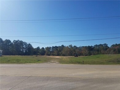 TBD Pinegrove Dr, Pineville, LA 71360 - photo 3