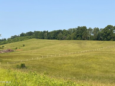 IMG_3310