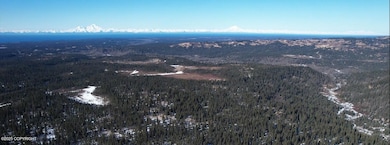pano 2