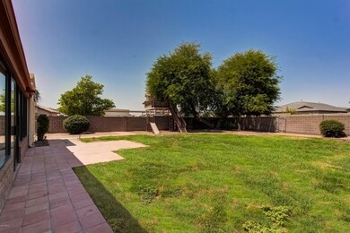 022_Back Yard