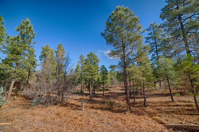HACKBERRY-