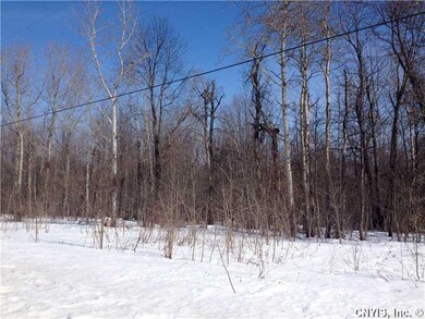 Land/Lot. Partially wooded for a private setting1
