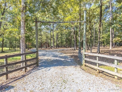 13922 Old Pike Rd, Mathews, AL 36052 - photo 2