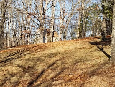 47 Canyon Forest Cir, Kimberling City, MO 65686 - photo 4