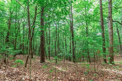 Lot 13 Shady Pine Trail, Ellijay, GA 30540 - photo 6