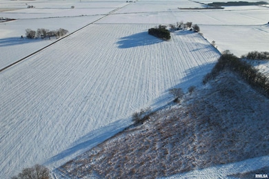 29260 CR 1500n, Teheran, IL 62664 - photo 5