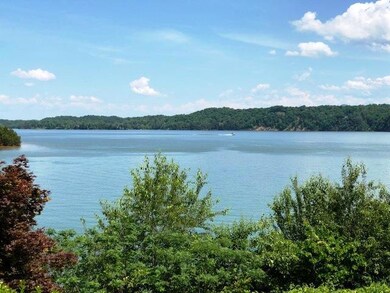 DOUGLAS LAKE VIEWS