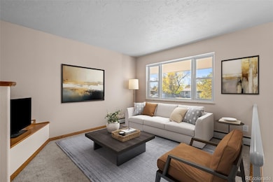 366 S Troy St, Aurora, CO 80012 - photo 4