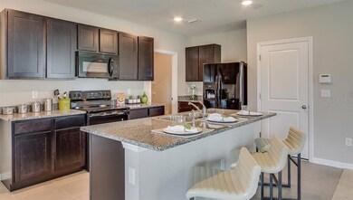 10845 Trailing Vine Dr, Tampa, FL 33610 - photo 4