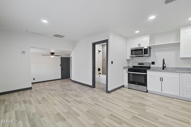 3800 Altura Ave unit Rear, El Paso, TX 79903 - photo 4