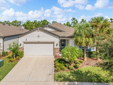 30415 Caravelle Ln, Wesley Chapel, FL 33545 - photo 2