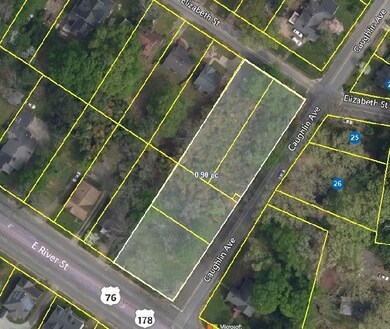 11-14 River Caughlin Elizabeth St, Anderson, SC 29621 - photo 5