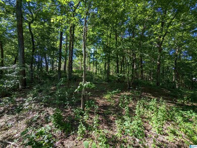 0 Cornerstone Dr unit 26 1320830, Calera, AL 35040 - photo 4