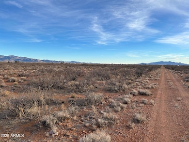12300 S Los Gatos Trail, Pearce, AZ 85625 - photo 2