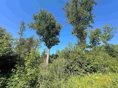 Off Indian Lake Rd, Michigamme, MI 49861 - photo 5