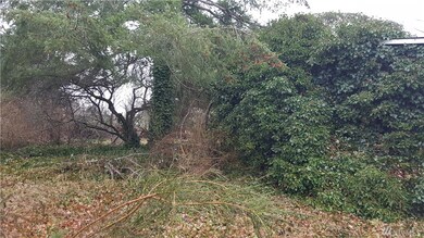 9105 Mountain View Rd SE, Yelm, WA 98597 - photo 2