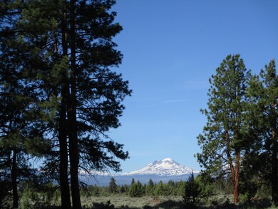 17820 Mountain View Rd, Sisters, OR 97759 - photo 3