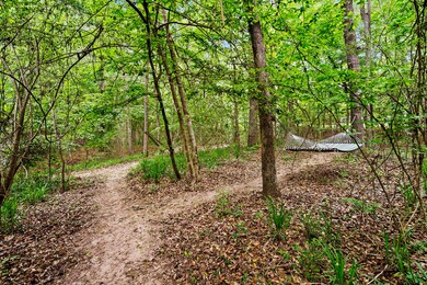 31903 Parkway St, Magnolia, TX 77354 - photo 5