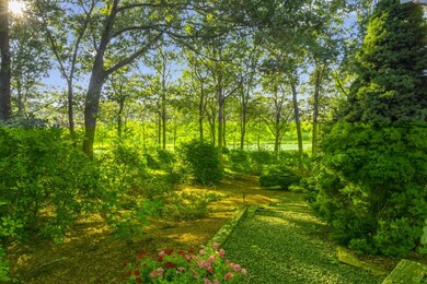 centerville-barnstable-massachusetts-usa