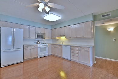 7091 W Touhy Ave unit 209, Niles, IL 60714 - photo 4
