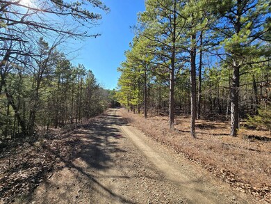 2 Tbd Summerfield Oklahoma, Summerfield, OK 74966 - photo 4