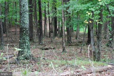 0 Pinewood Ln, Berkeley Springs, WV 25411 - photo 7