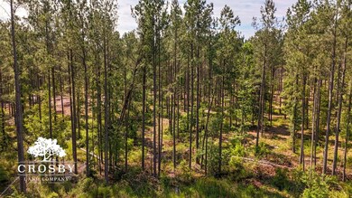 0 Alexander-Munnerlyn Rd, Waynesboro, GA 30830 - photo 4