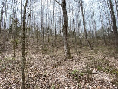 159 Joe Harris Ln, Cookeville, TN 38506 - photo 3