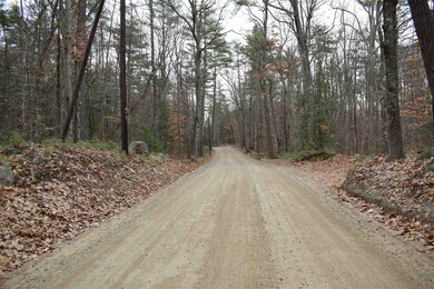 00 Blake Rd unit 8, Moultonborough, NH 03254 - photo 4