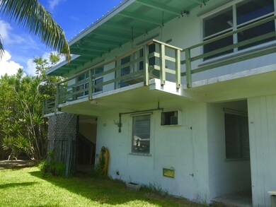 Back View