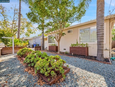 2860 Laguna St, Concord, CA 94518 - photo 6