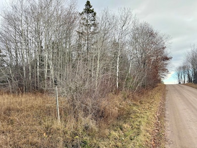 0 Lecoy Rd, Sugar Island Township, MI 49783 - photo 5