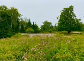 looking towards road