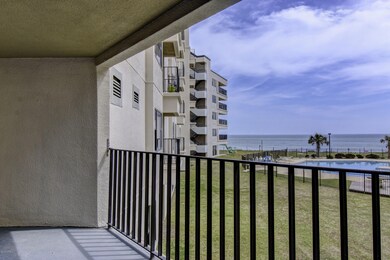239view