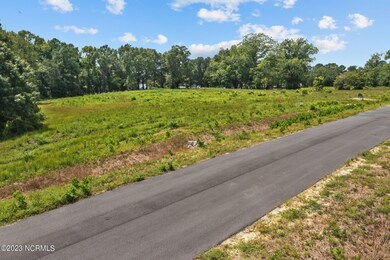 408 Red Drum W, Swansboro, NC 28584 - photo 4