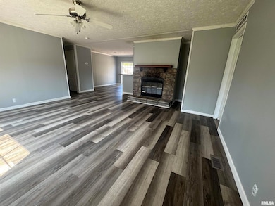 413 Walnut St, Zeigler, IL 62999 - photo 4