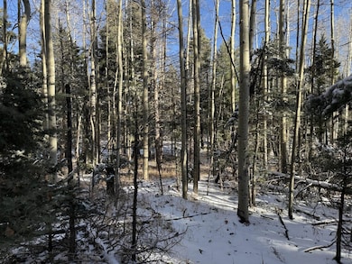 lot 99 Zia Rd, Angel Fire, NM 87710 - photo 5