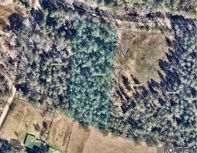 TBD Tract 2 Pride-Baywood Rd, Pride, LA 70770 - photo 3