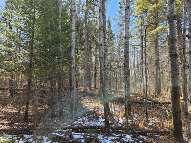 TBD 360th St, Shevlin, MN 56676 - photo 3