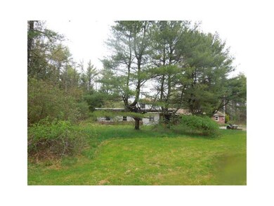 Yard/Garden.