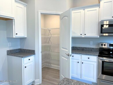 lot 48 walk in pantry